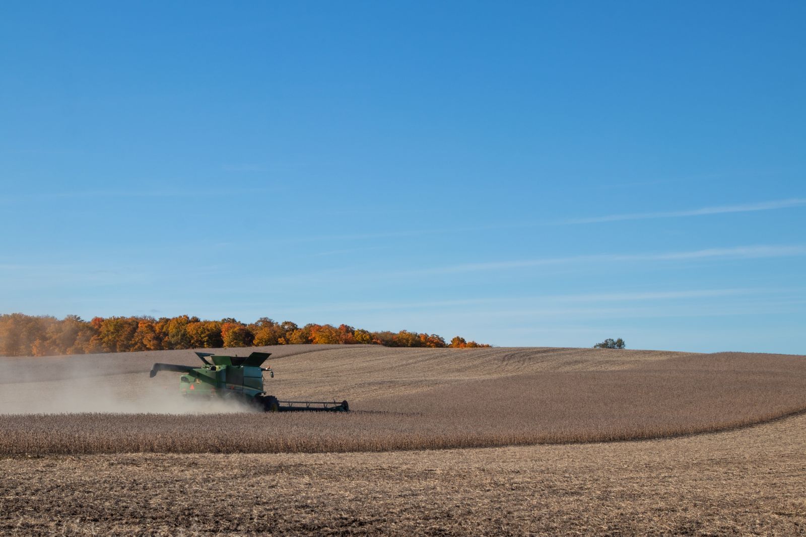 Campo de soja durante la cosecha con maquinaria agrícola